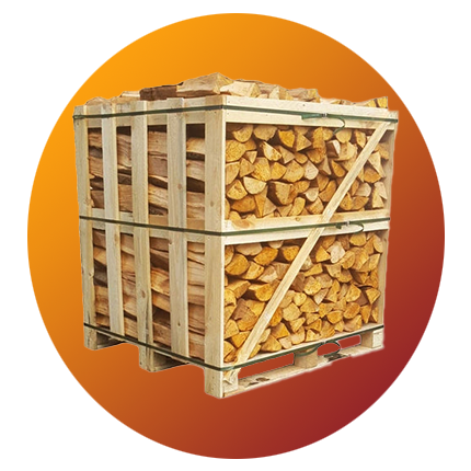Kiln-dried beech firewood